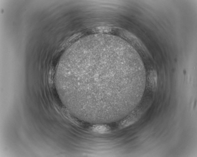 X0000085270218200704092148