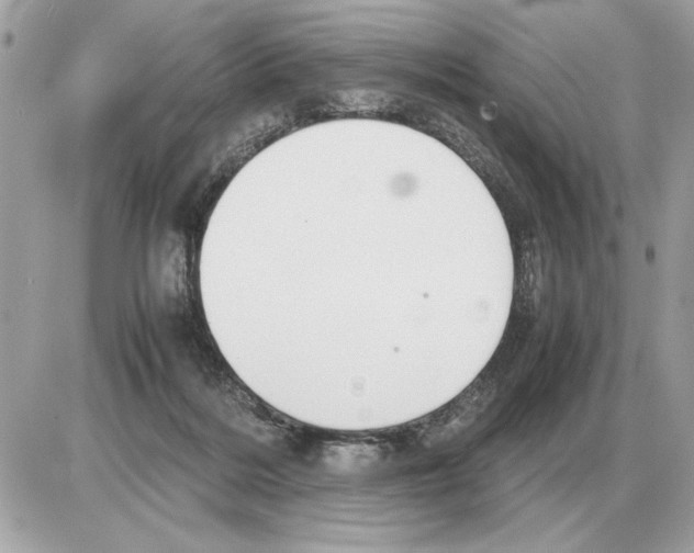 X0000085270220200704092148