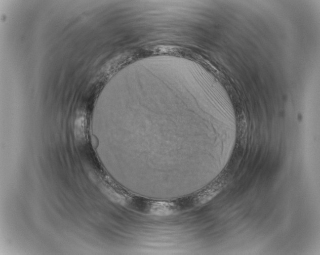 X0000085270222200704092148