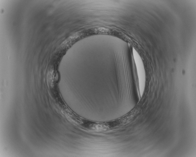 X0000085270223200704092148