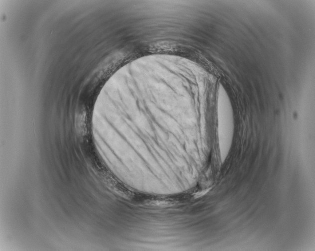 X0000085270224200704092148