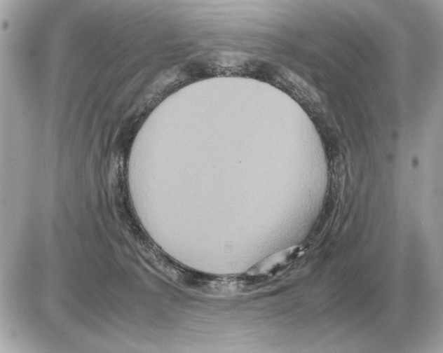 X0000085270225200704092148