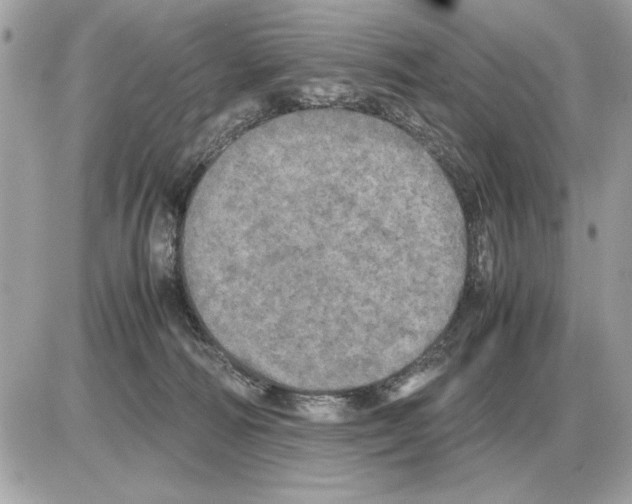 X0000085270226200704092148