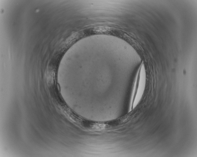 X0000085270227200704092148