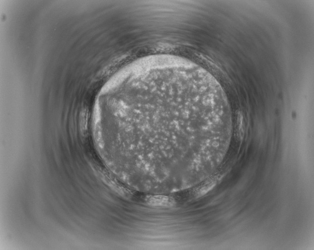 X0000085270230200704092148