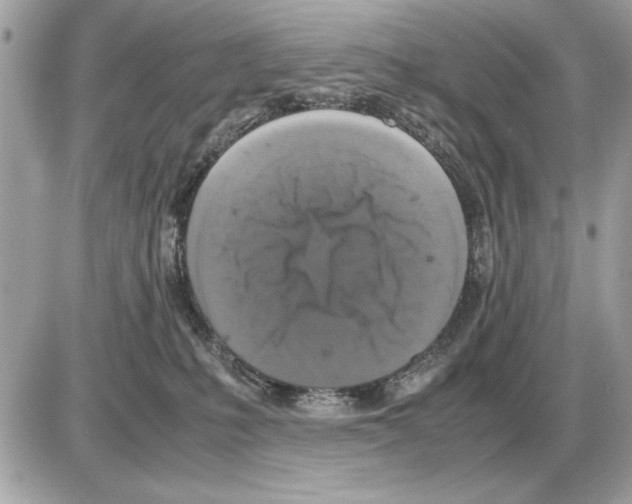 X0000085270231200704092148