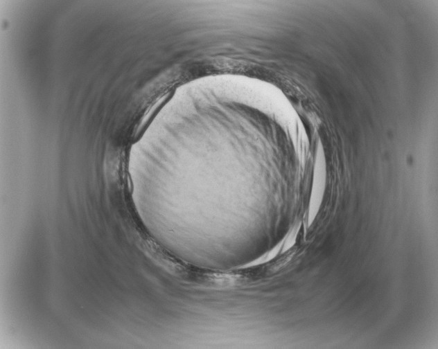 X0000085270233200704092148