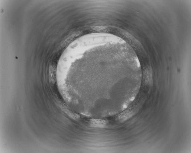 X0000085270234200704092148