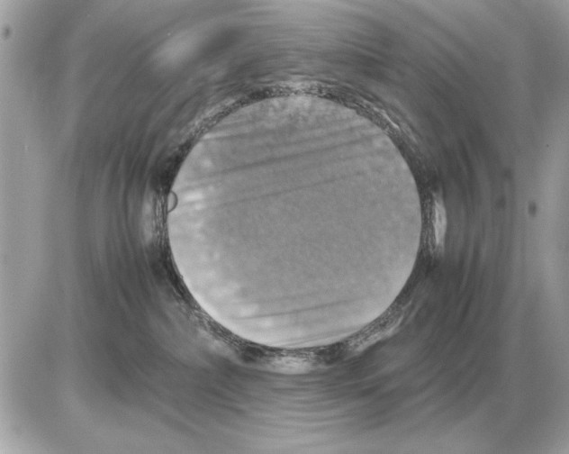 X0000085270236200704092148