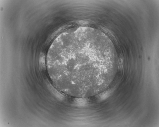 X0000085270238200704092148