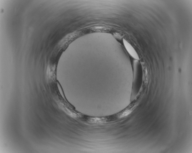 X0000085270239200704092148