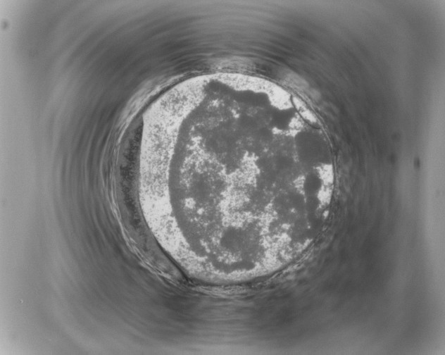 X0000085270241200704092147