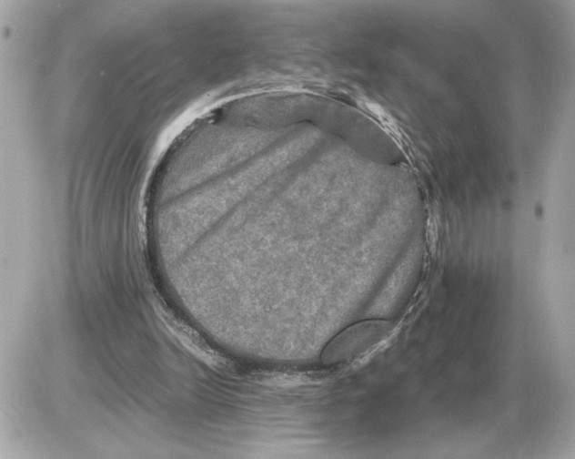 X0000085270246200704092147