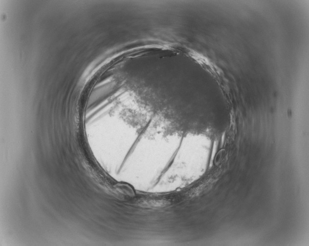 X0000085270247200704092147