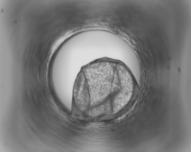 X0000085270248200704092147