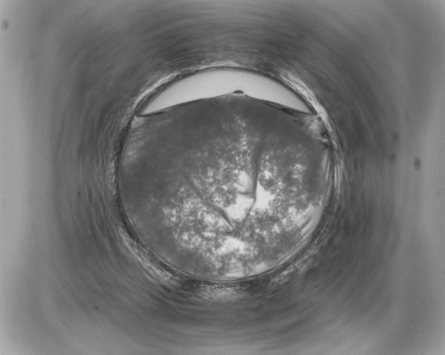 X0000085270249200704092147