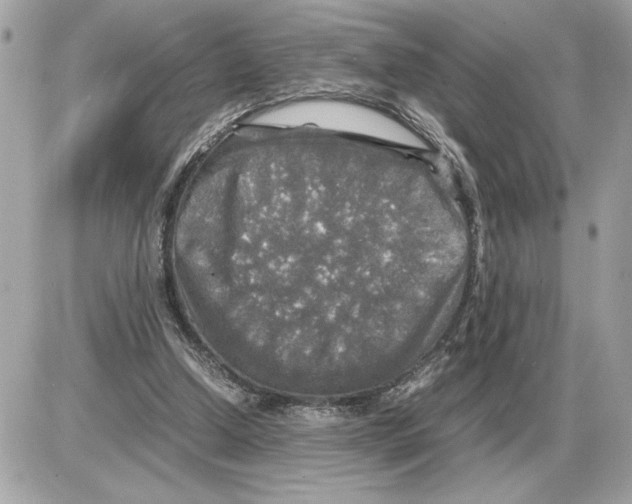 X0000085270250200704092147