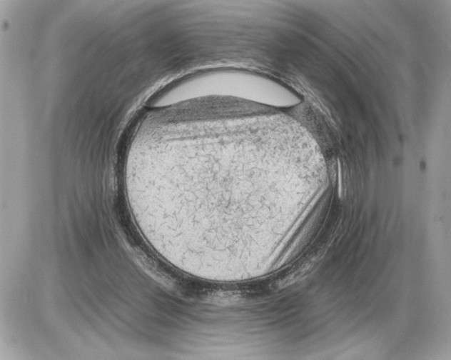 X0000085270252200704092147