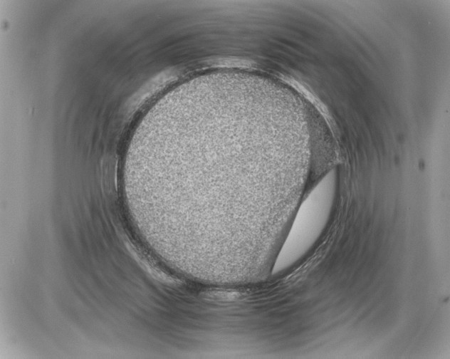 X0000085270253200704092147