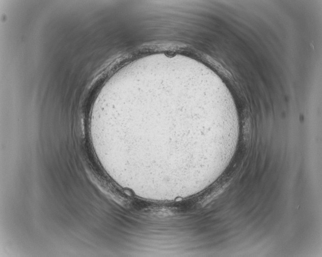 X0000085270254200704092147