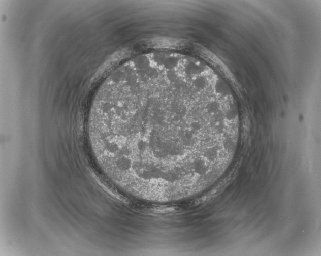 X0000085270257200704092147