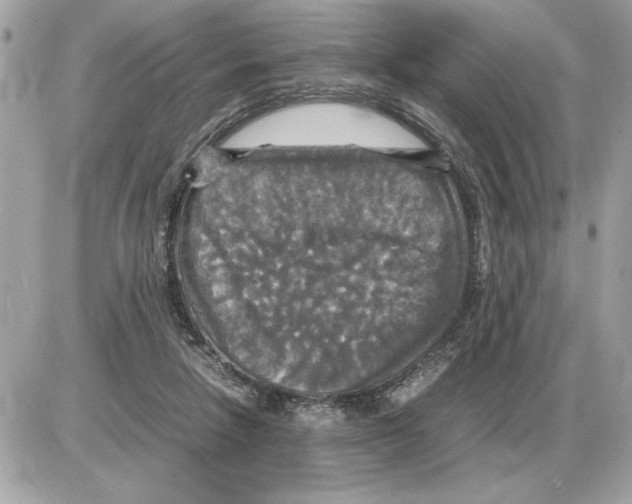 X0000085270258200704092147