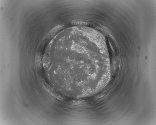 X0000085270259200704092147