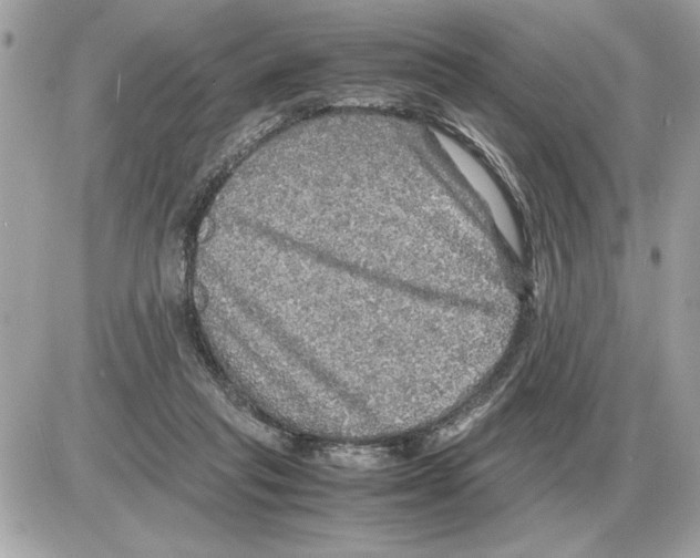 X0000085270261200704092147