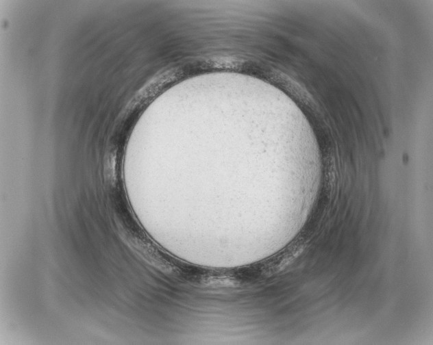 X0000085270262200704092147