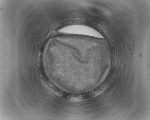 X0000085270263200704092147