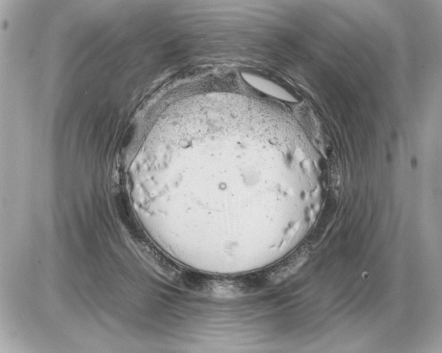 X0000085270264200704092147