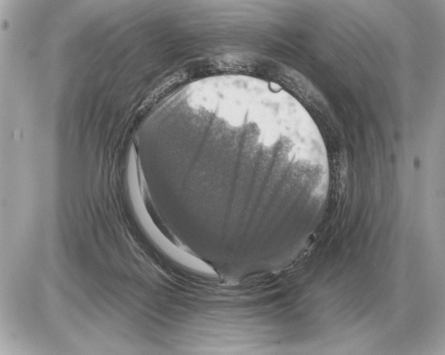 X0000085270266200704092147