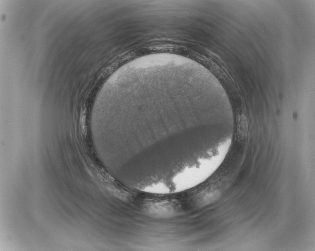 X0000085270267200704092147