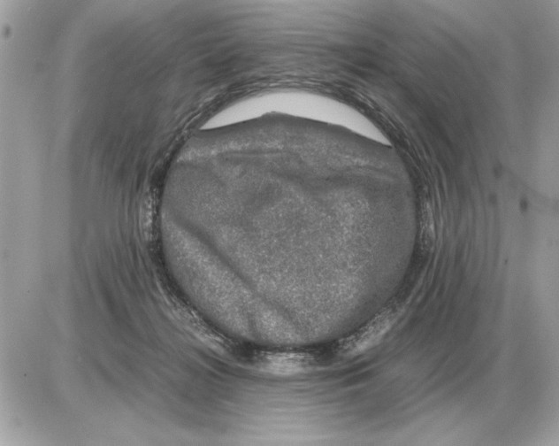 X0000085270268200704092147