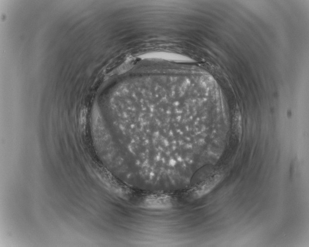 X0000085270271200704092147