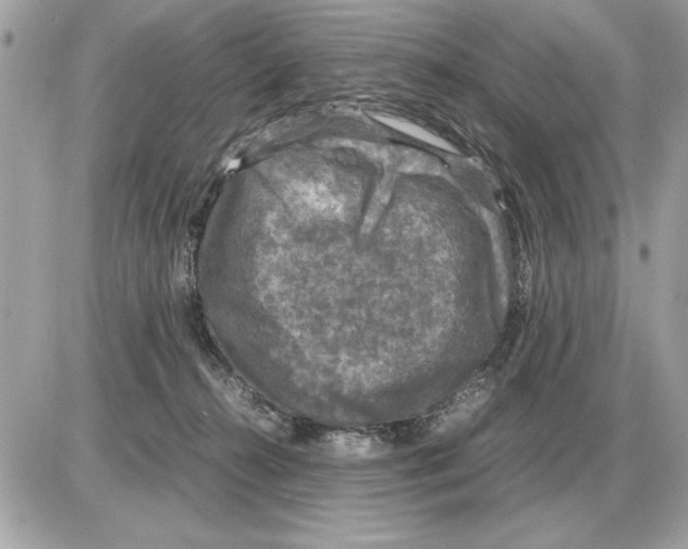 X0000085270272200704092147