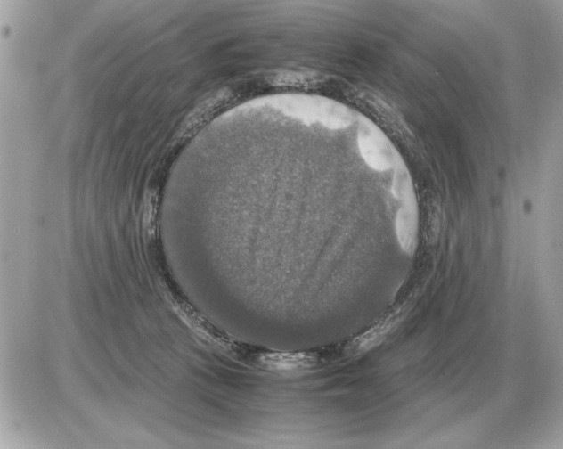 X0000085270273200704092148