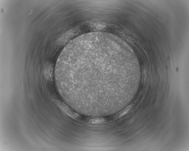 X0000085270274200704092148