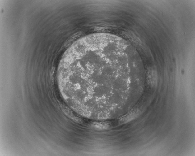 X0000085270275200704092148