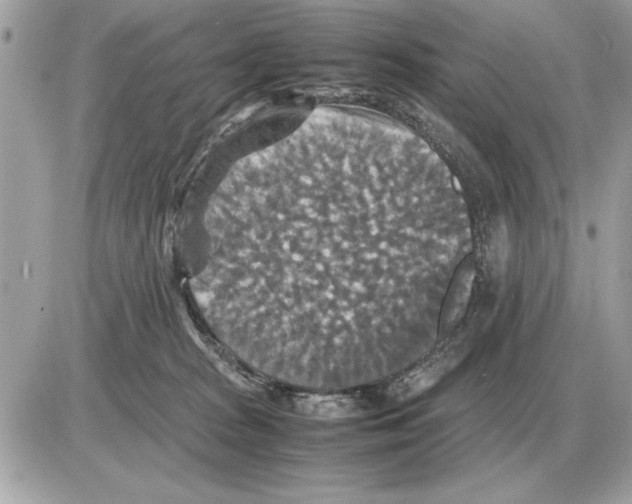 X0000085270277200704092148