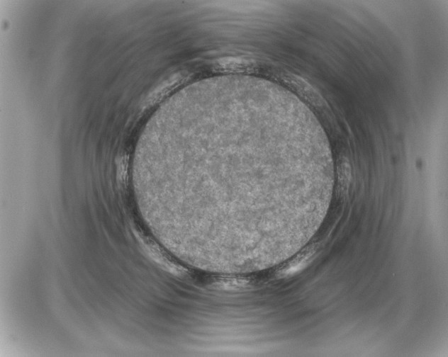 X0000085270278200704092148