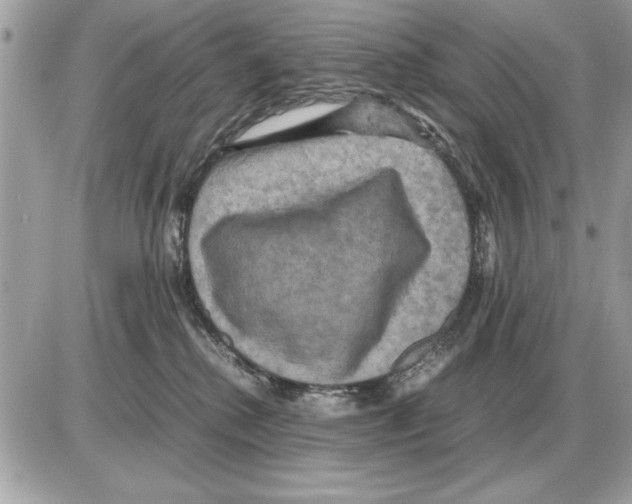 X0000085270280200704092148