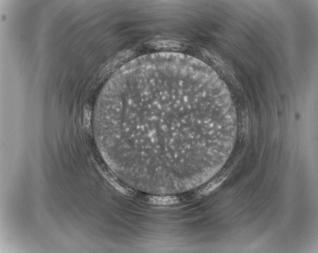 X0000085270281200704092148