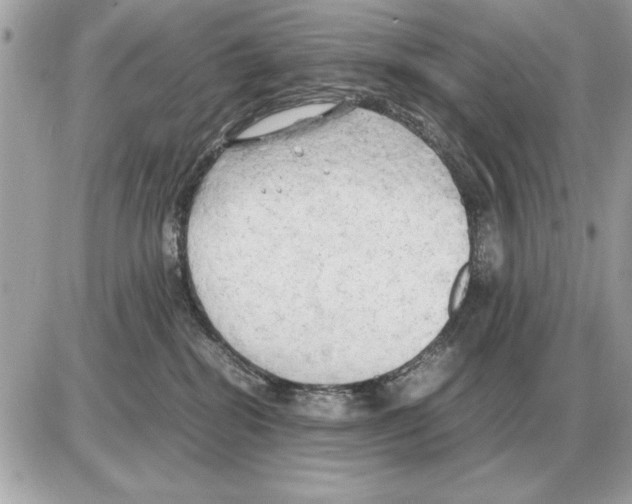 X0000085270282200704092148