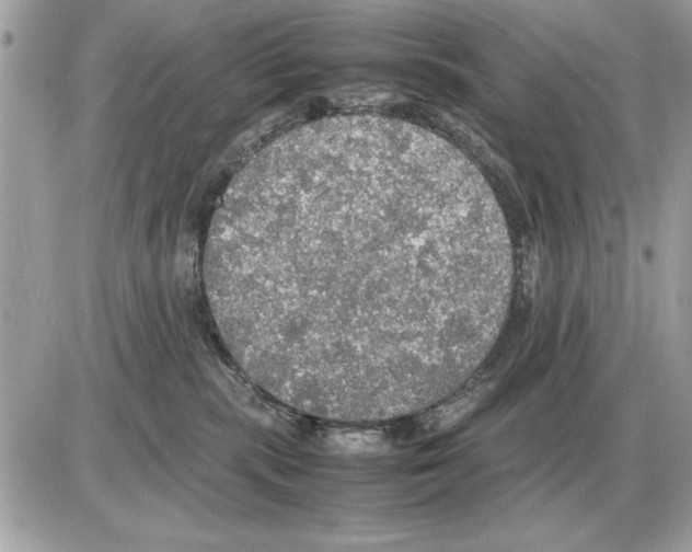 X0000085270283200704092148