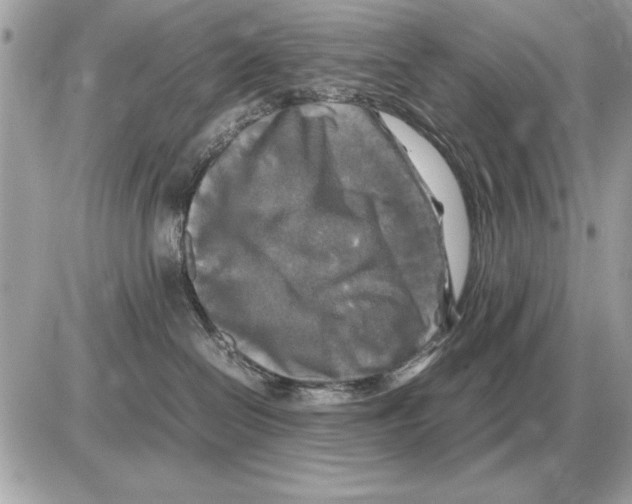 X0000085270286200704092148