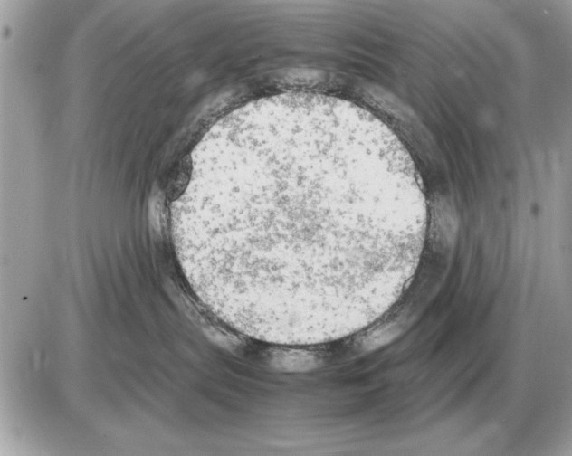 X0000085270287200704092148