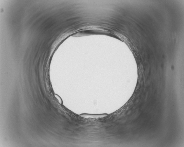 X0000085270289200704092147