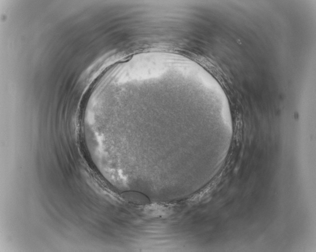 X0000085270290200704092147