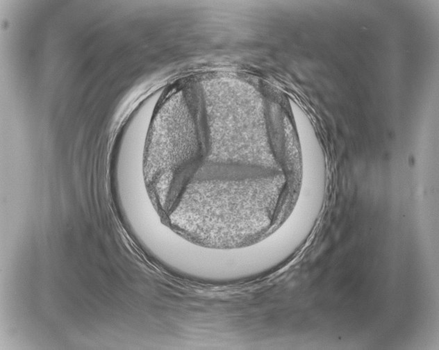 X0000085270293200704092147